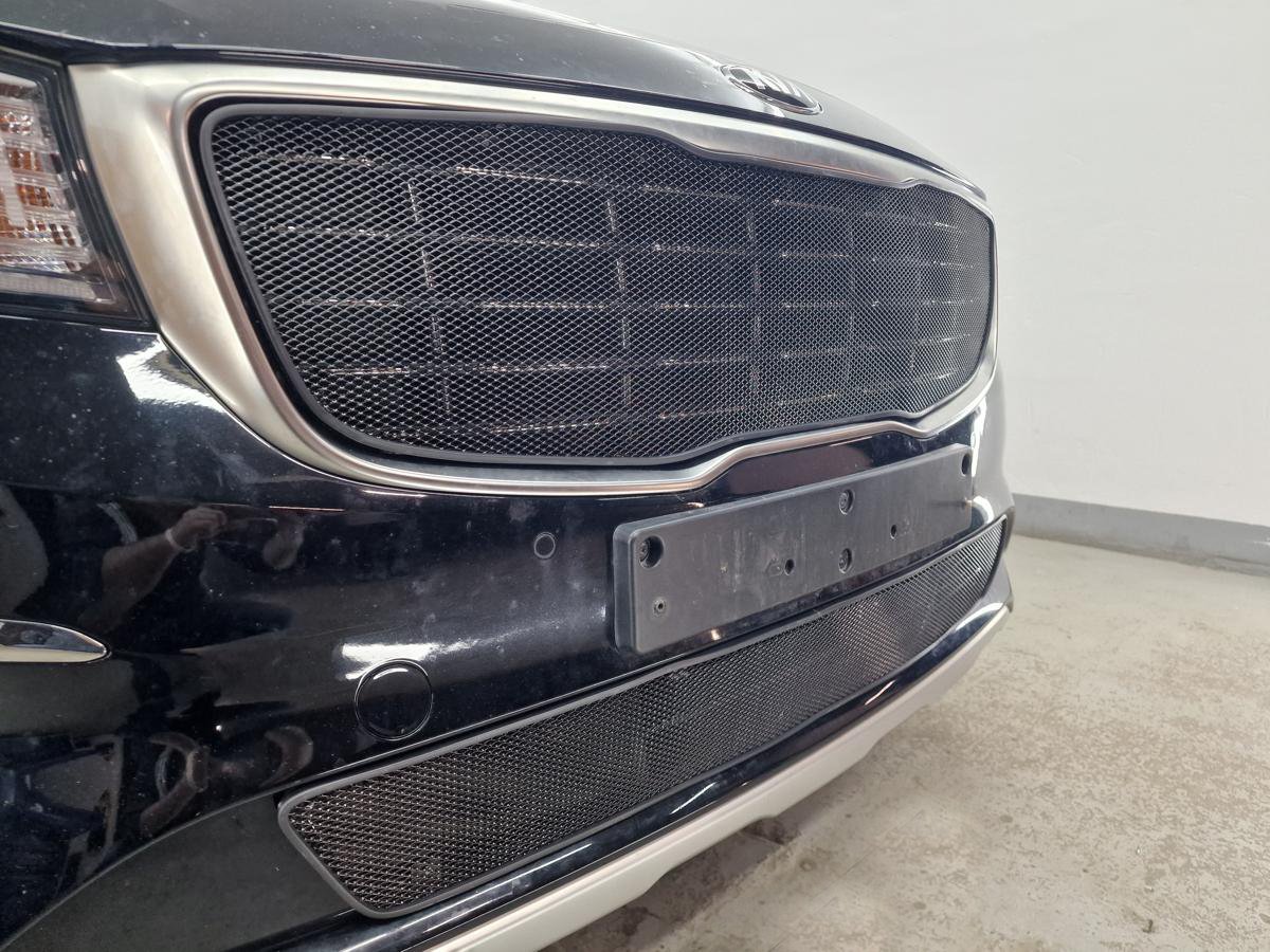 Защитная сетка радиатора низ  для Kia Carnival (YP) III Рестайлинг