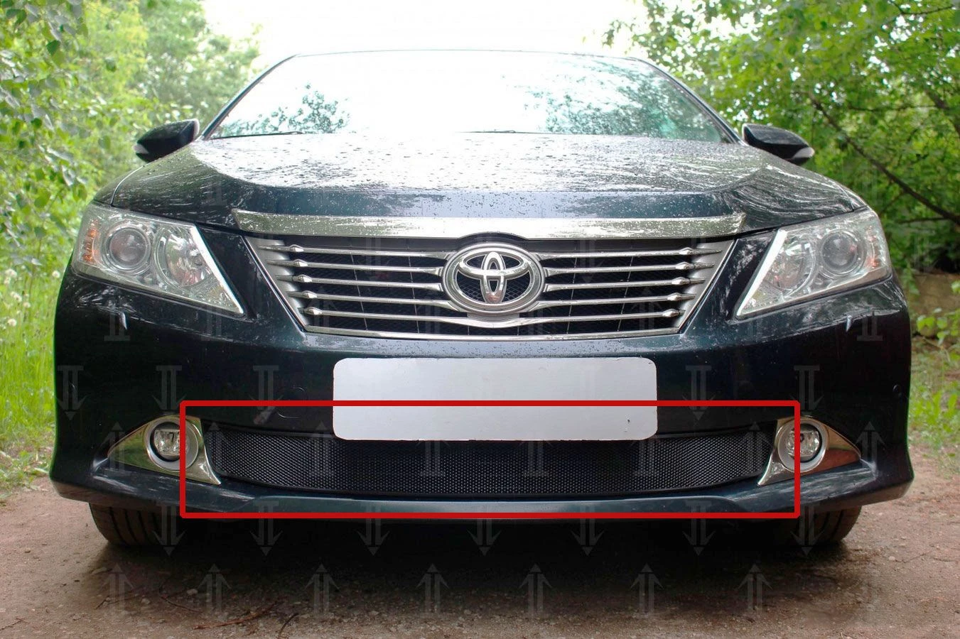 Защитная сетка радиатора для Toyota Camry VII (XV50)