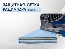 Защитная сетка радиатора низ 2 части для Geely Monjaro