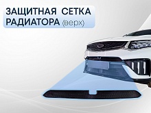 Защитная сетка радиатора верх, с камерой для Geely Tugella I Рест